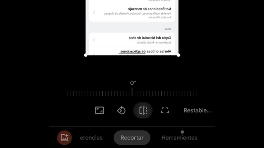 Opción de espejo en Google Fotos