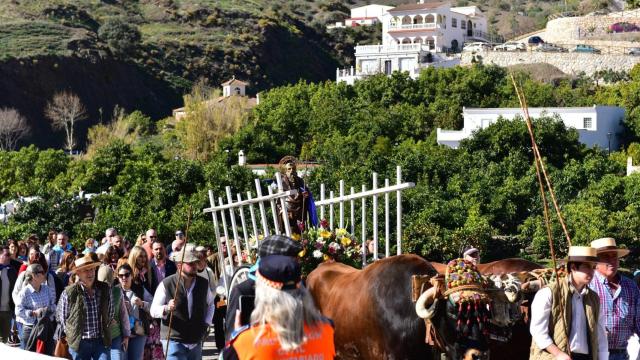 Fiesta de San Antón en Árchez.
