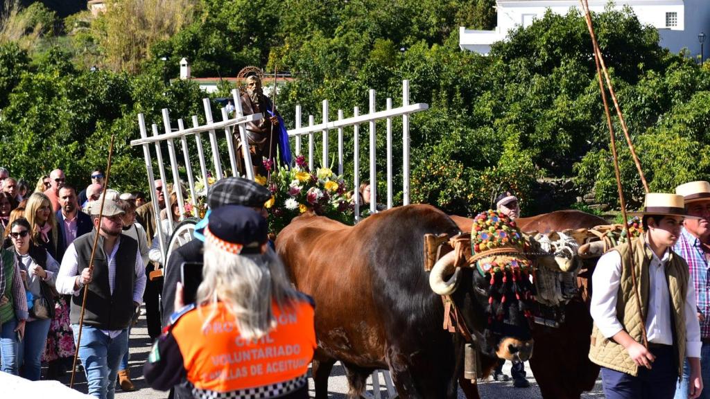 Fiesta de San Antón en Árchez.