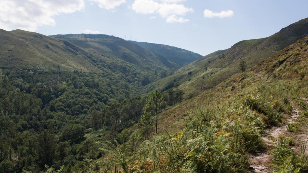 Vista de los Montes da Paradanta