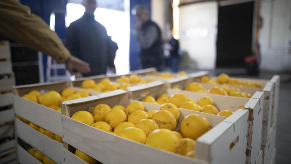Una donación de naranjas, en el almacén del Banco de Alimentos onubense.