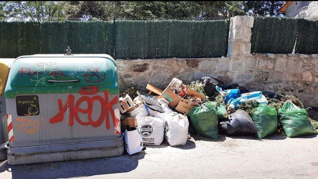 Alpedrete enfrenta una plaga de ratas que "anidan en las casas ...