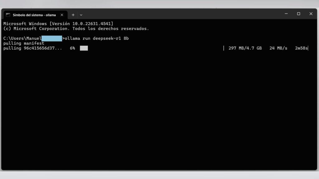 Ejecutando el comando en Símbolo de sistema