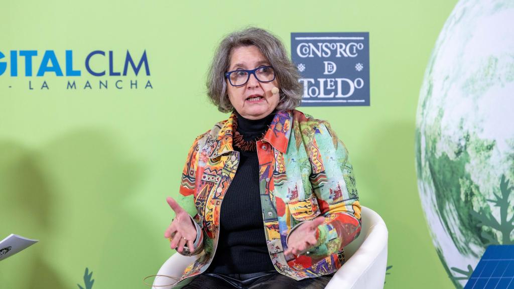 Mercedes Gómez, consejera de Desarrollo Sostenible, durante su participación en el foro 'Energías renovables en el entorno rural: retos y oportunidades'.