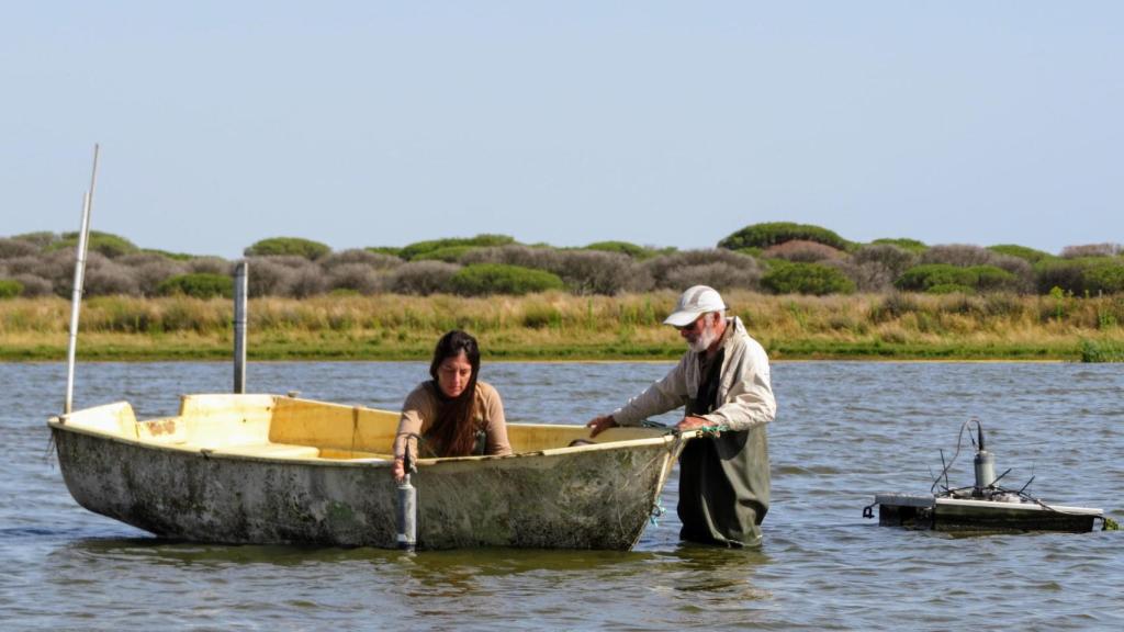 Monitoreo de las aguas de Doñana por el equipo de EBD