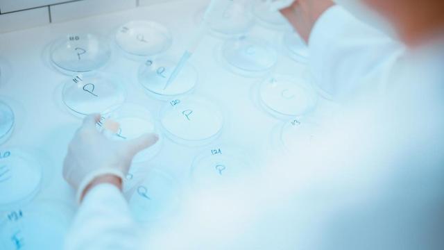 Científico extrayendo una muestra utilizando una pipeta.