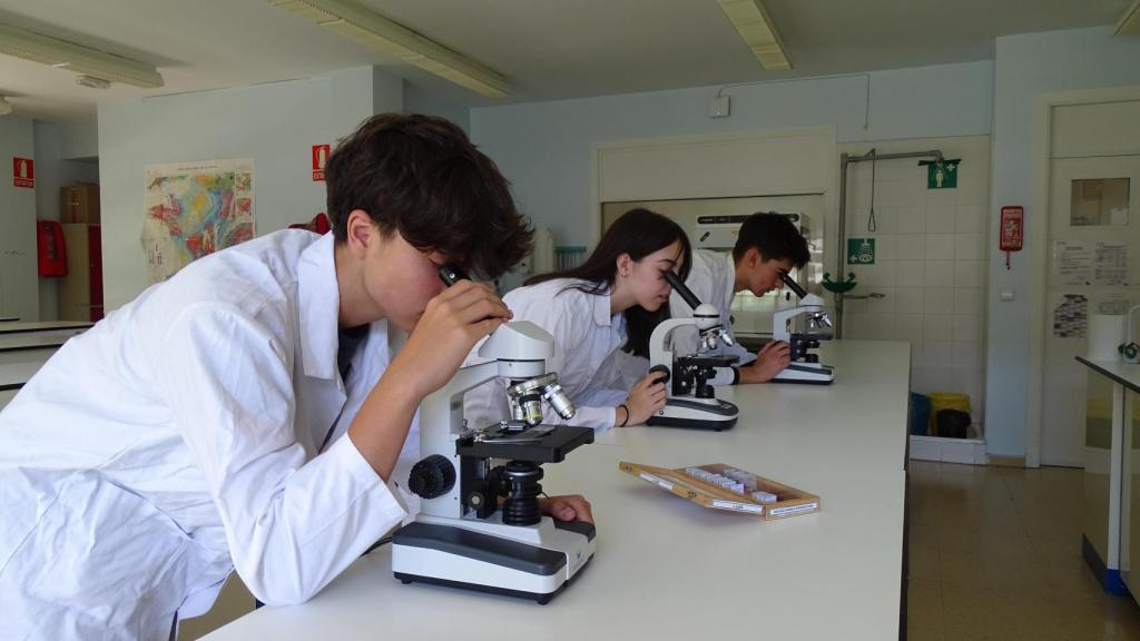 Lycée Français International Molière de Zaragoza.