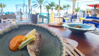 El plato principal de mújol en la espectacular terraza de El gato blanco.