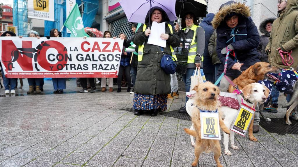 León y Valladolid se suman a las movilizaciones que reclaman legislación que proteja a los perros usados en la caza