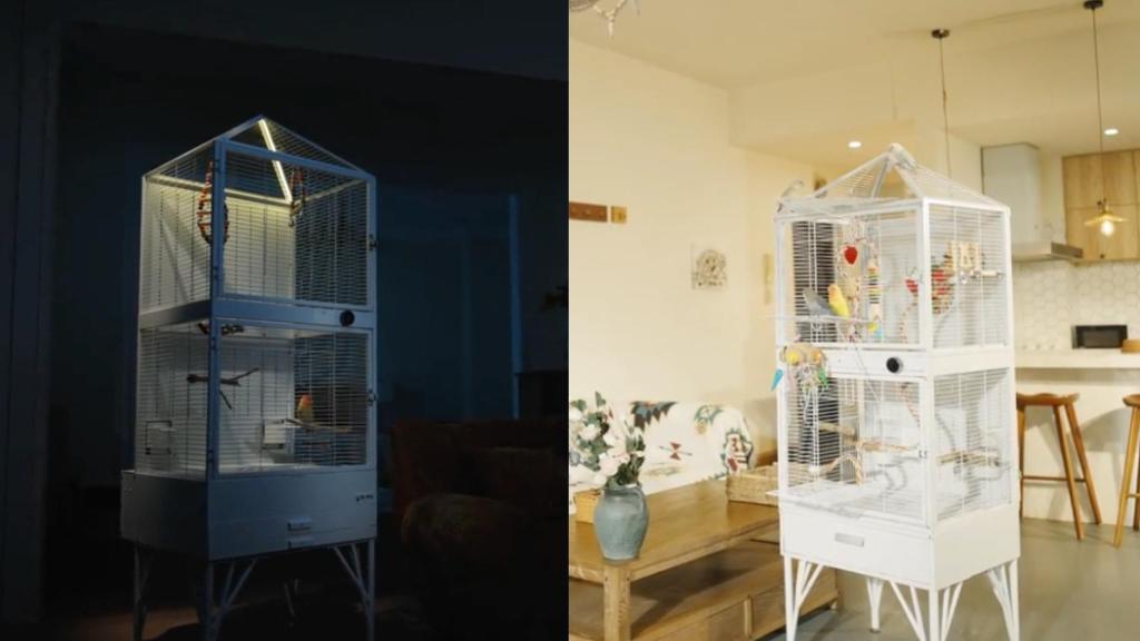 Jaula Birddy