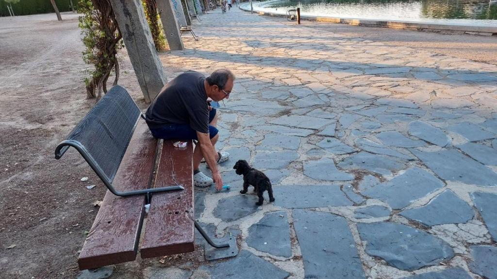 Foto: Consejo de Colegios Profesionales de Veterinarios de Castilla-La Mancha.