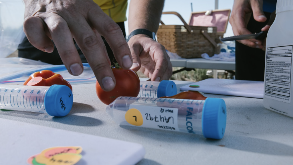 Heritage Agriculture en una prueba de campo