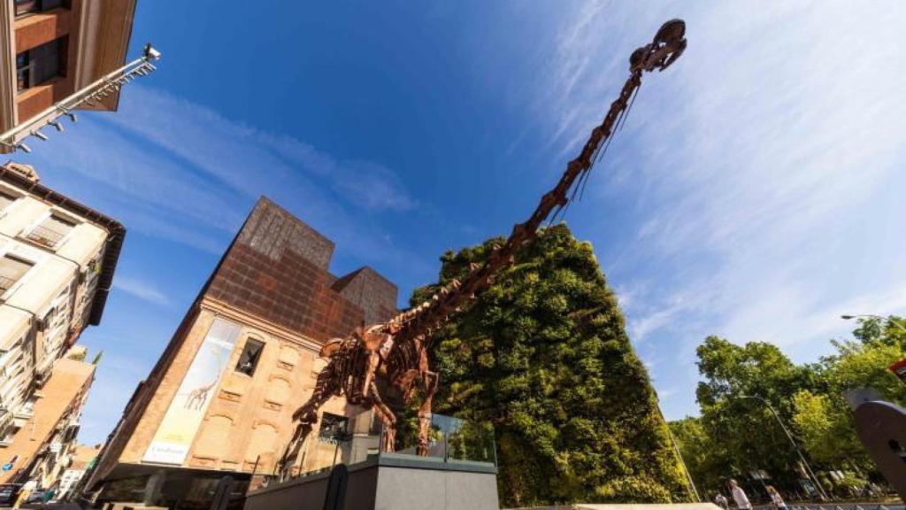 El esqueleto del dinosaurio de 30 metros que presidirá el CaixaForum de Zaragoza, en su ubicación en Madrid.