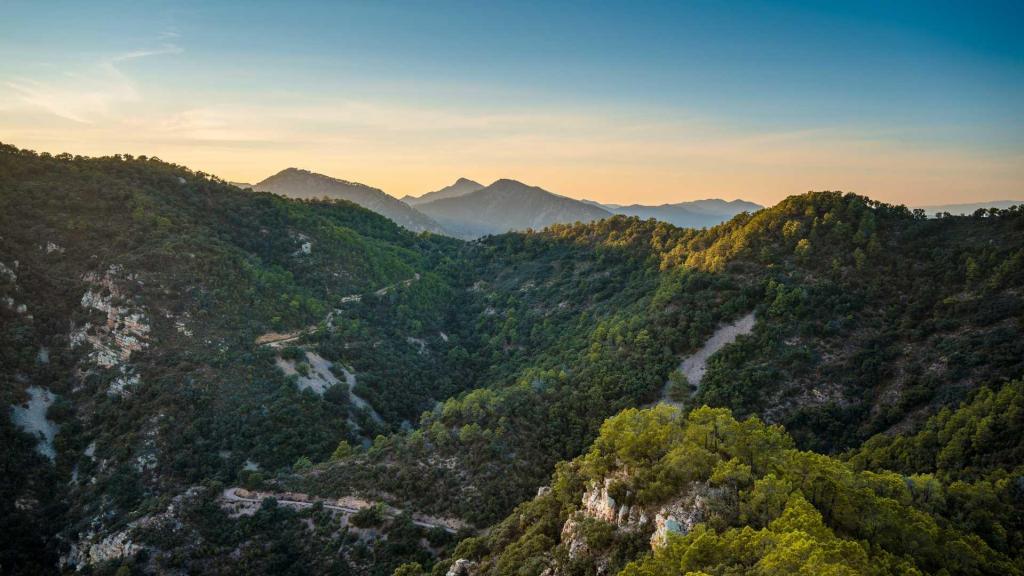 Entorno rural de Castellnovo. Turisme CV