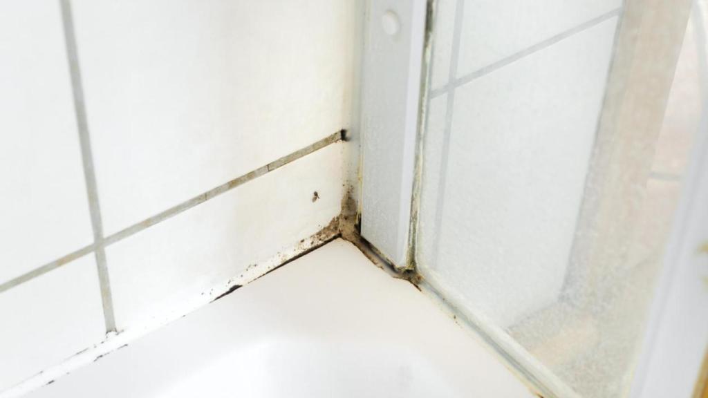 Moho en una ducha.