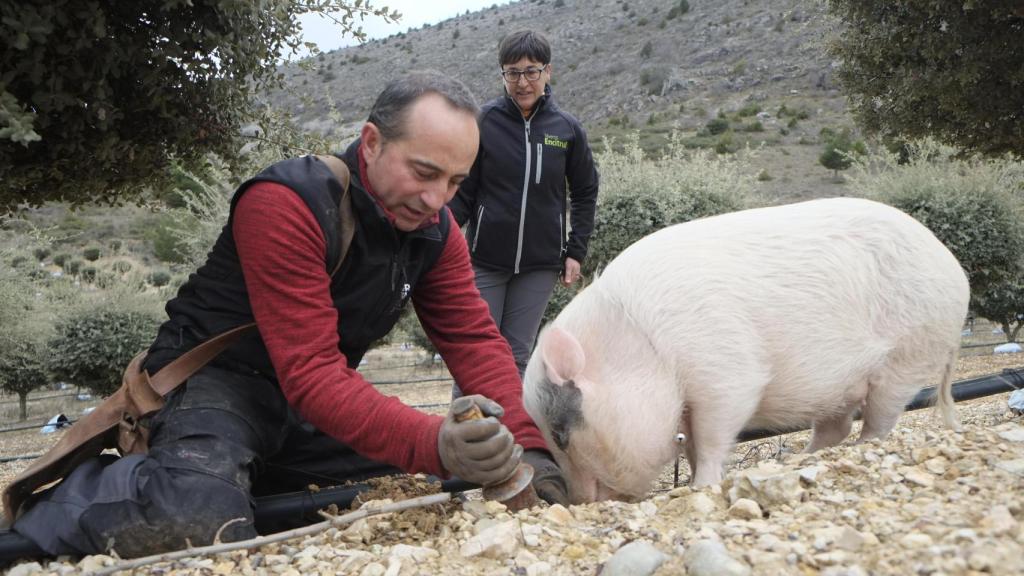 Bulla sacando una trufa con Javier y Feli