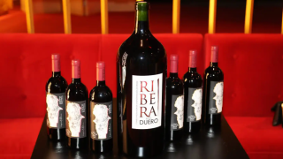 Captura de pantalla 2025-02-05 233151