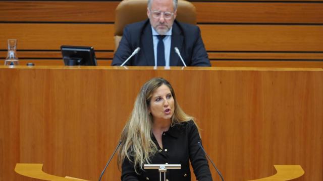 La exprocuradora de Vox Ana Rosa Hernando con Carlos Pollán de fondo