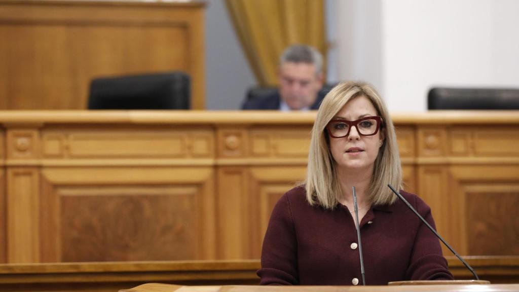 Ana Isabel Abengózar interviene ante el Pleno.