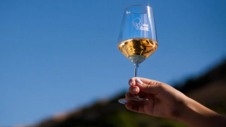 Captura de pantalla 2025-02-07 131216