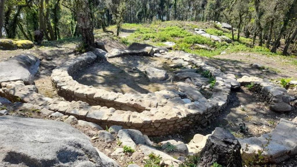 Castro de Montealegre