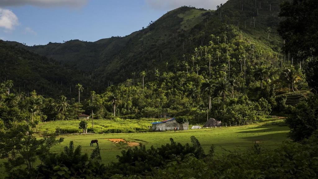 Vista del paisaje de la Sierra del Rosario, en Cuba, donde vive la comunidad de Los Acuáticos.