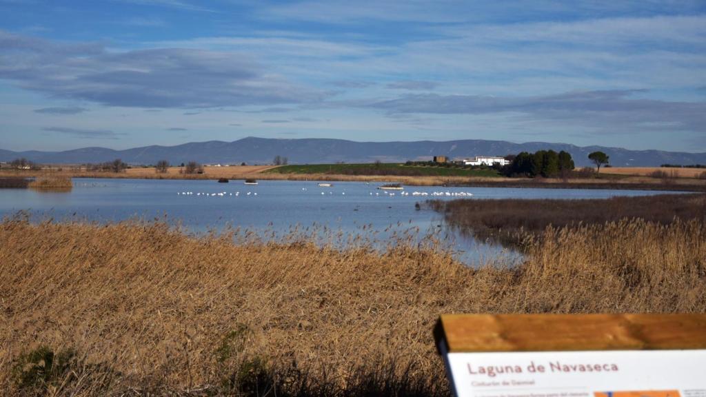 Laguna de Navaseca en Daimiel.