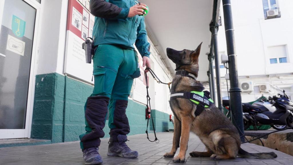 Ortiz cree que uno de los principales problemas de la sociedad con los perros es su humanización.