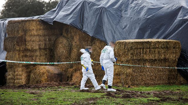Registro en varias viviendas y un coche incautado: la Guardia Civil intensifica la investigación sobre la muerte de Álvaro