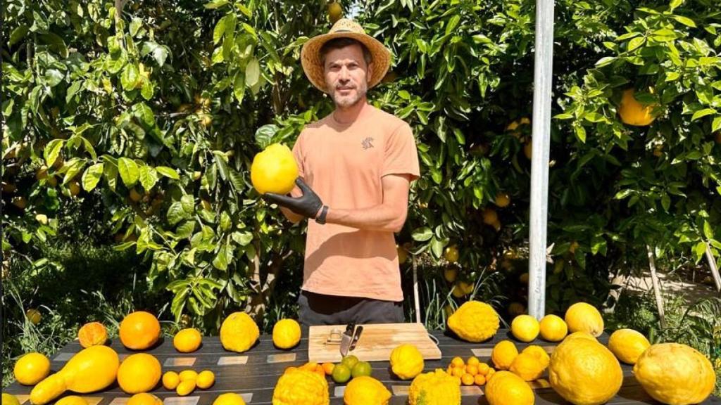 Antón, al cuidado de los cítricos.
