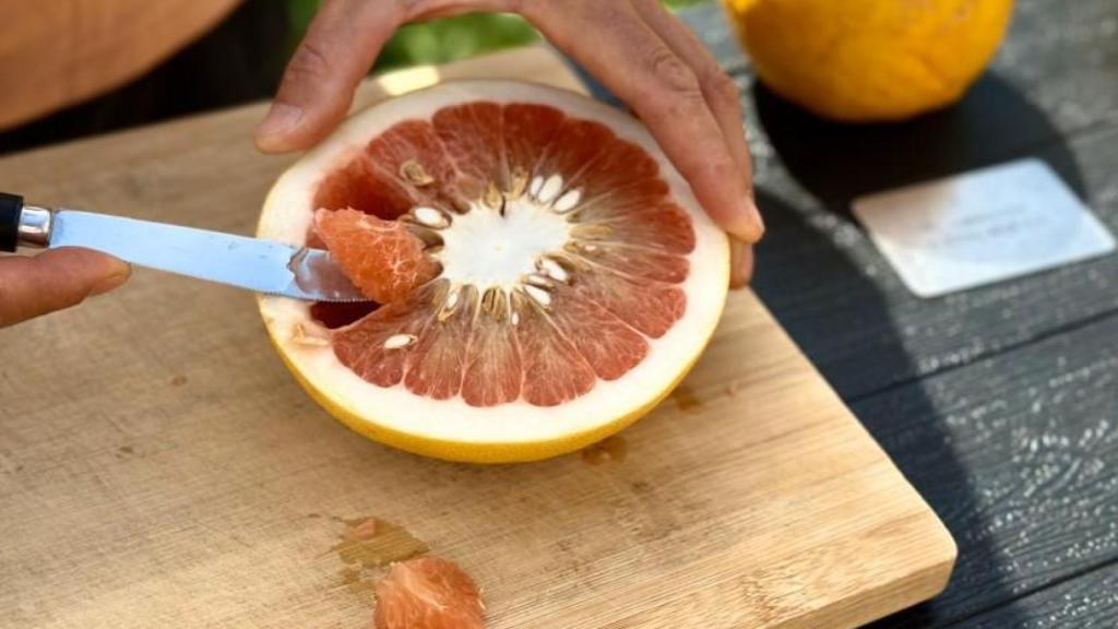 Una de las variedades de pomelo que cultivan.