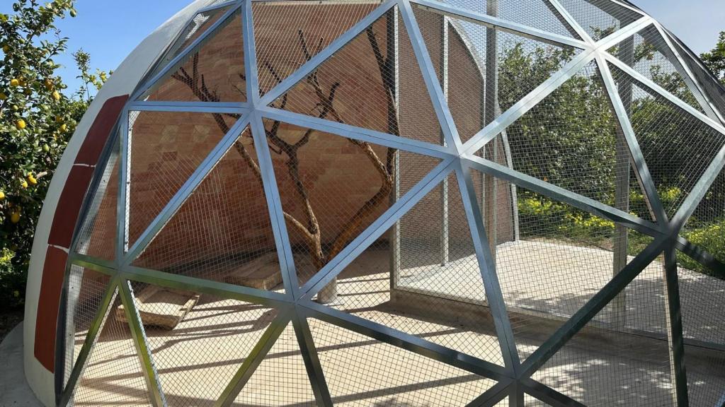 El aviario que han construido en medio del huerto para la cría y conservación de aves.