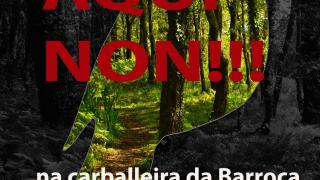 Los vecinos del barrio vigués de Navia organizan una Foliada en contra del Vigo Arena