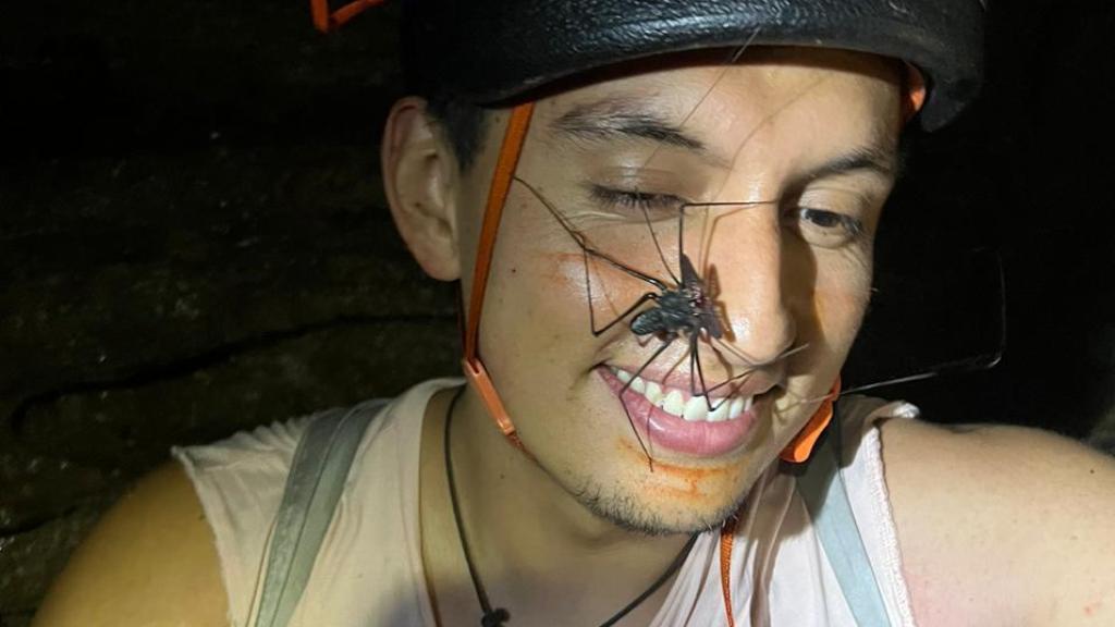 En las profundidades habitan arañas e insectos que nunca han visto la luz del sol.
