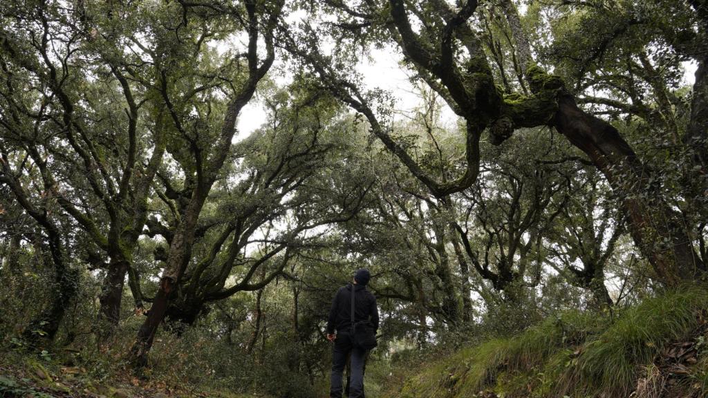 Imagen del Zofreral de Corbana, en León