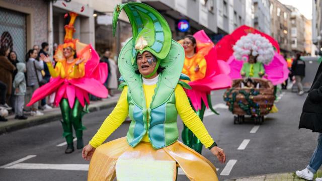 Arteixo (A Coruña) publica las bases de los concursos de disfraces y carrozas de este Entroido