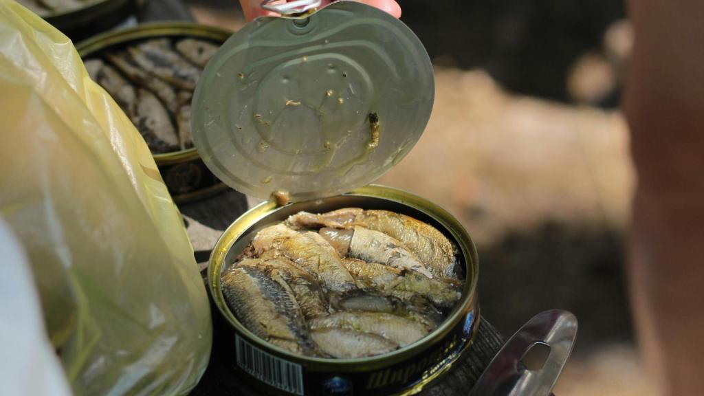 Sardinas en lata, en una imagen de archivo.