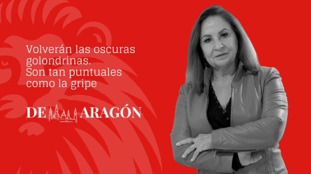 Teresa Tolosana, presidenta del Colegio de Enfermería de Zaragoza