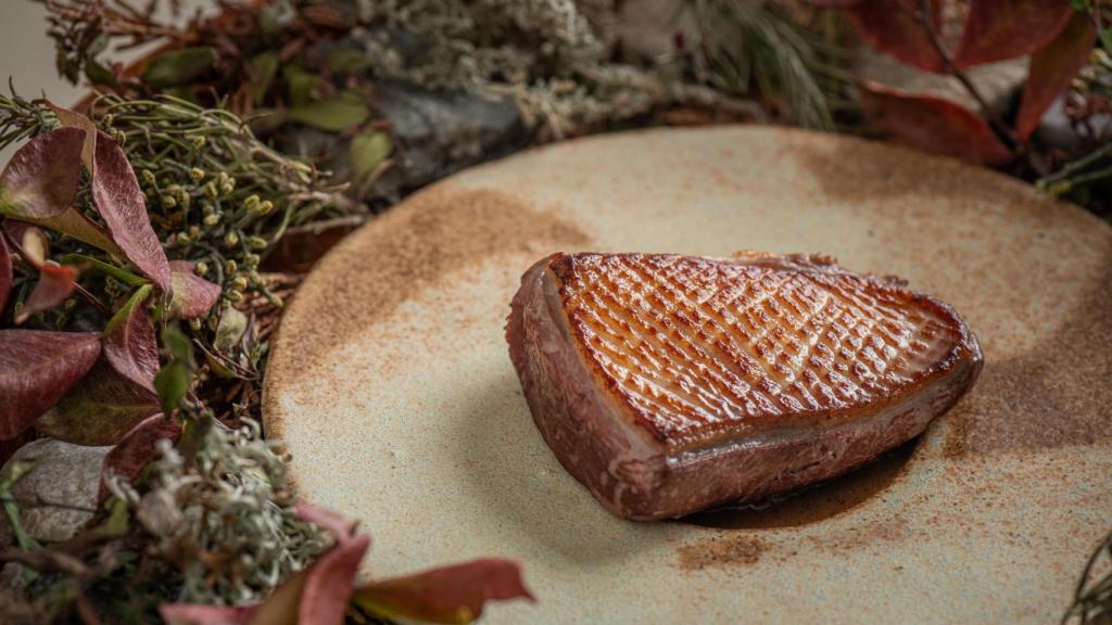 Pato asado, romero silvestre y trufa negra.
