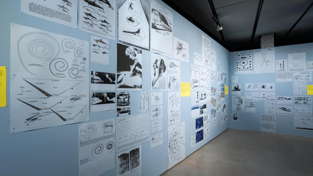 Vista de la última sala de la exposición. Foto: Fundación Telefónica