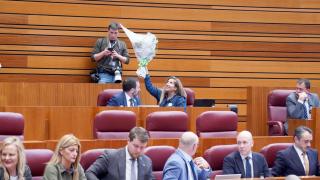 Ramos de flores blancas, plasmas, el regreso de una vetada y protestas en una tarde con detalles en las Cortes