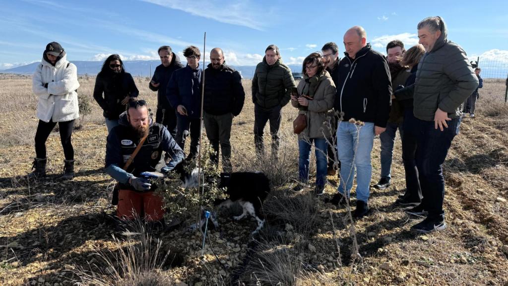 El presidente de la Diputación de Segovia, Miguel Ángel de Vicente, en la III jornada de la trufa