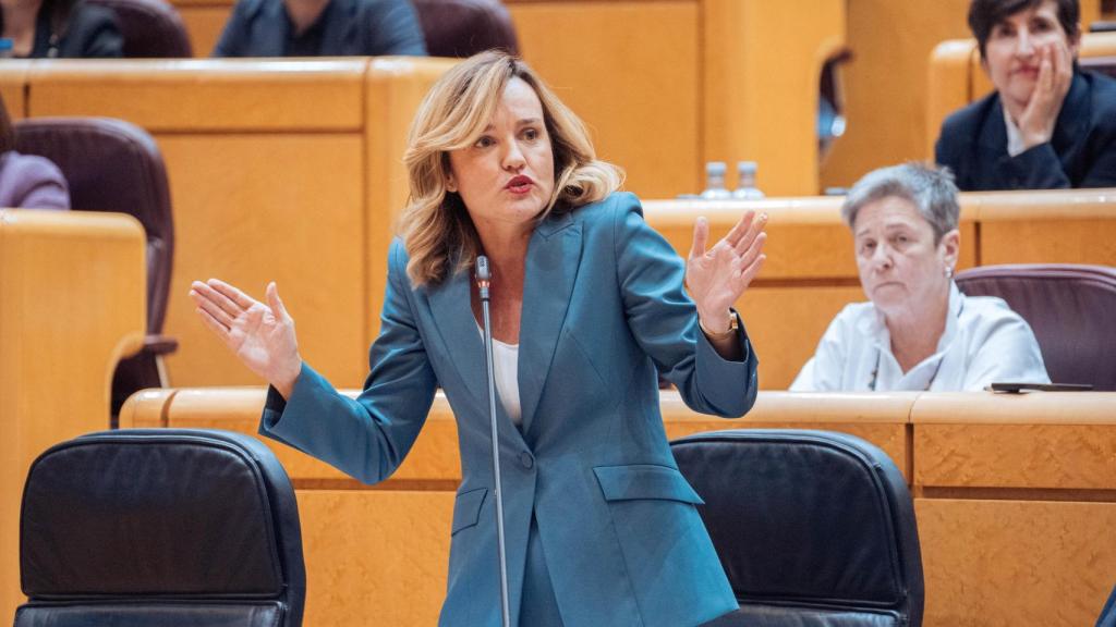 La ministra de Educación, Formación Profesional y Deportes y portavoz del Gobierno, Pilar Alegría, este martes en el Senado.