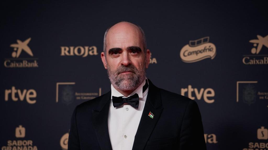 El actor Luis Tosar en la gala de los Premios Goya 2025.