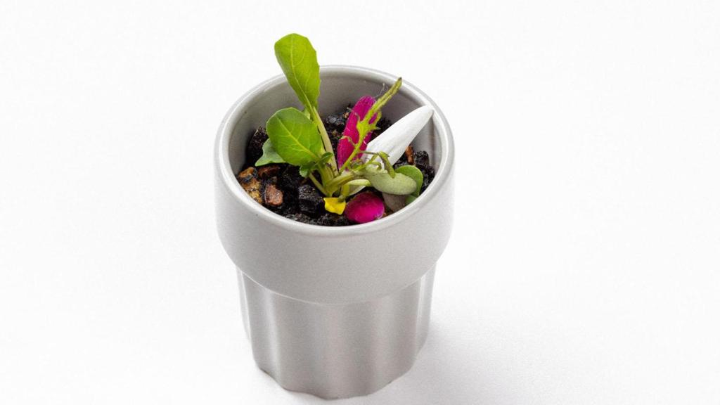 Sabores de la tierra (  Bodeguilla de Santa Marta).