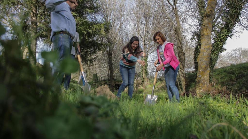 Plantación de árboles en Otero de Herreros