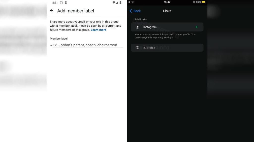 Capturas de las dos novedades de WhatsApp