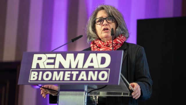 La consejera de Desarrollo Sostenible, Mercedes Gómez.