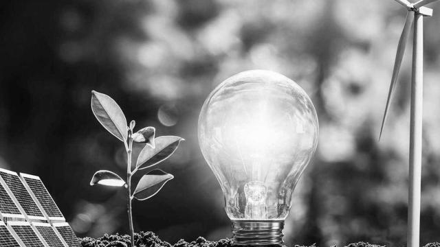 Fotomontaje de una bombilla, con una planta, un panel solar y un molino eólico.