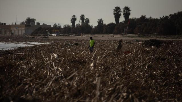 Foto de archivo de las labores de limpieza en Pinedo, Valencia. Alejandro Martínez Vélez / Europa Press